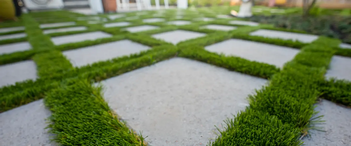 Pavers with overgrown weeds inbetween