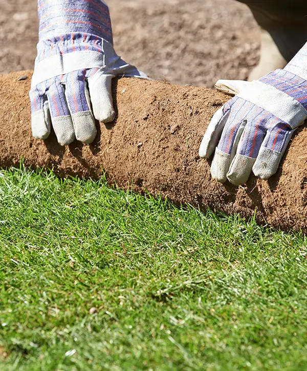 landscape design build frisco texas mcm header