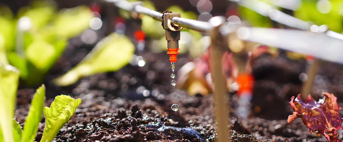 automatic irrigation system outdoor living features