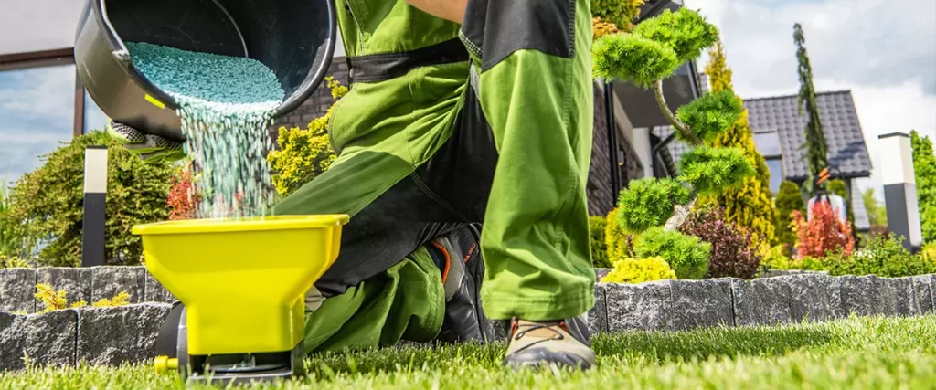weed and feed lawn fertilization Garden Worker Preparing Grass Fertilizer