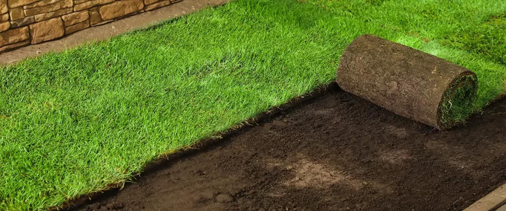 Laying grass sods at backyard. Home landscaping