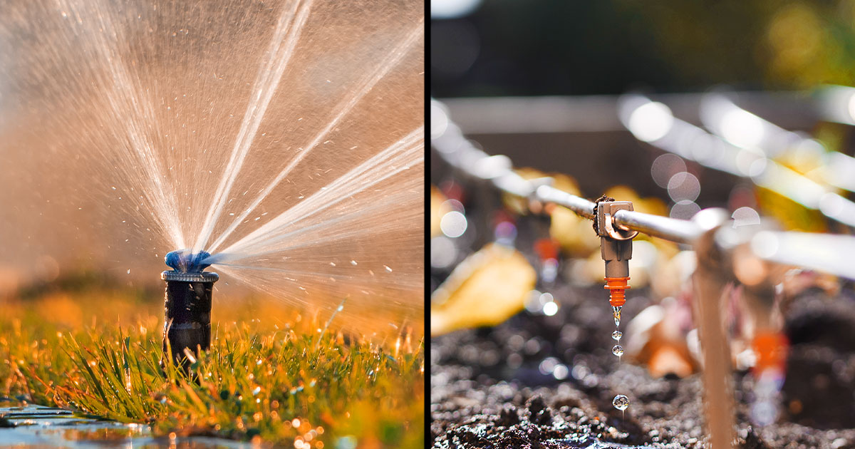 Sprinkler Vs Drip Irrigation System Image Split In Two