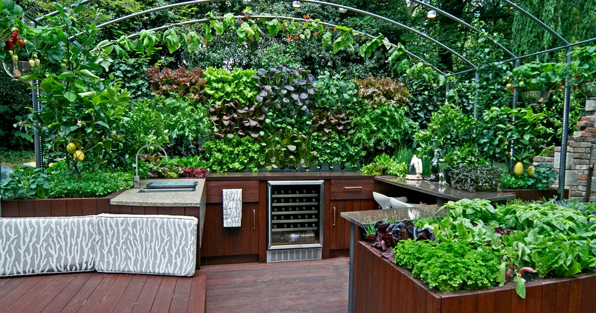 professional outdoor kitchen with custom countertops lush vertical garden wooden decking.