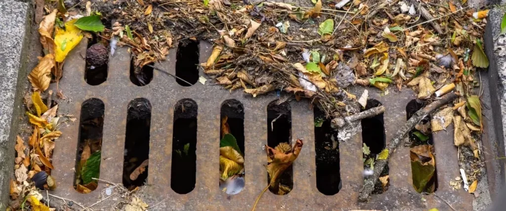 A close-up view of a metal street storm grate heavily clogged with brown autumn leaves, dry twigs, and urban litter, preventing water from flowing into the channel drains below.