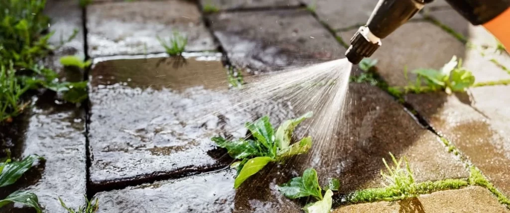 A high-pressure water nozzle spraying a focused stream to remove green weeds and moss growing in the joints between dark stone patio pavers during a deep cleaning.
