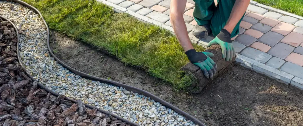 A landscaper wearing green and black gloves unrolls fresh green sod to install a new lawn in a backyard, situated next to a stone border and mulch bed.