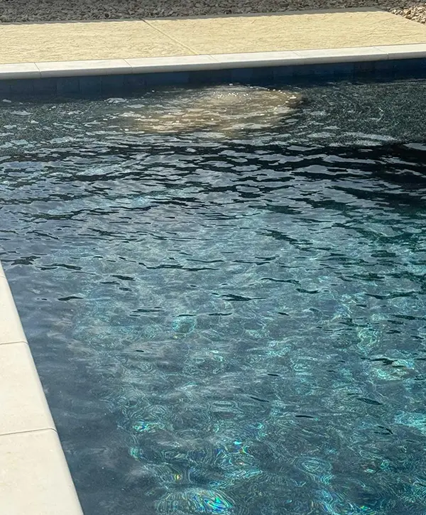 Custom swimming pool with dark plaster finish and sun shelf in residential backyard
